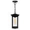 Cwi Lighting Oakwood 1 Light Outdoor Black Pendant 0422P7-1-101 - alternate 4